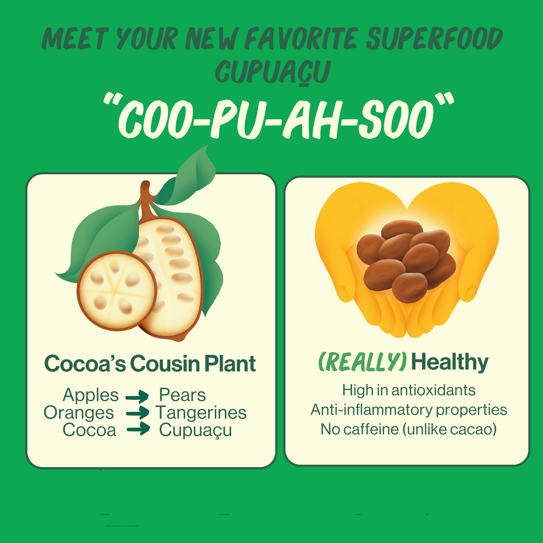 Caffeine-Free Chocolate? Yes, It Exists — and It’s Delicious